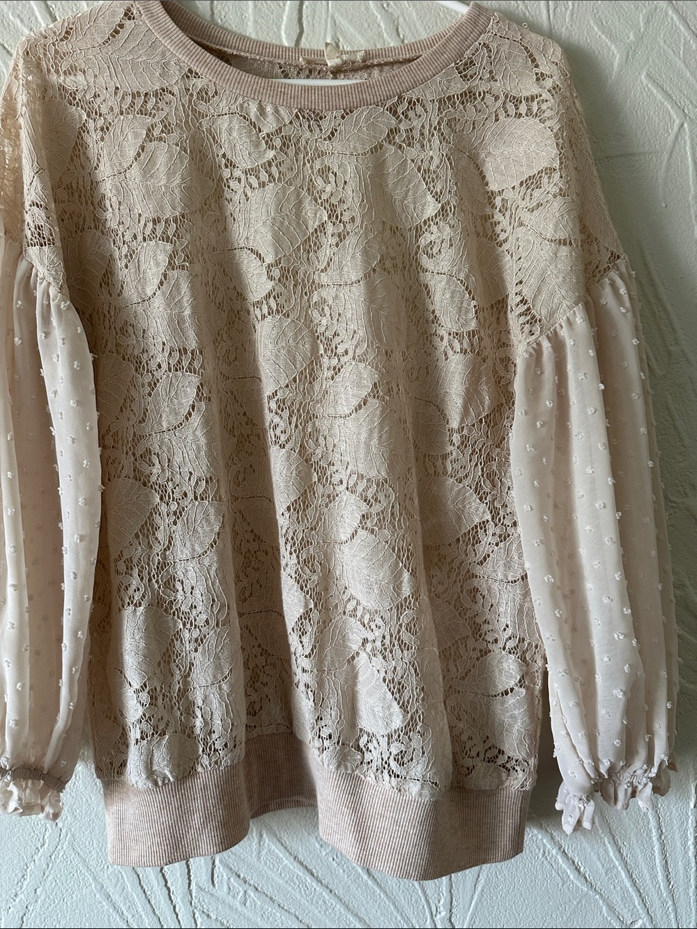 Mystree Lace Front & Sheer Dobby Sleeve Sweatshirt in Light Beige - Picture 6 of 7